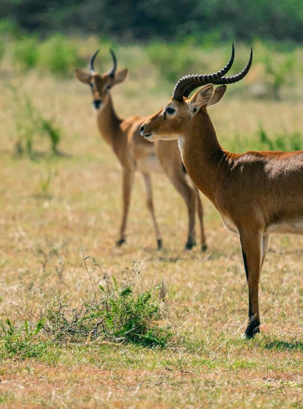 2h-media-8p_u8xZ6CK8-unsplash